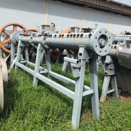 Extrusora para ração